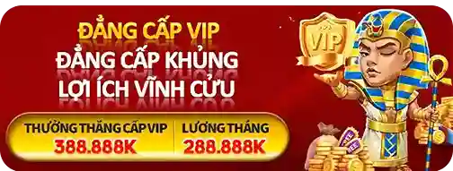 8QBET – Sân chơi cá cược trực tuyến uy tín hàng đầu